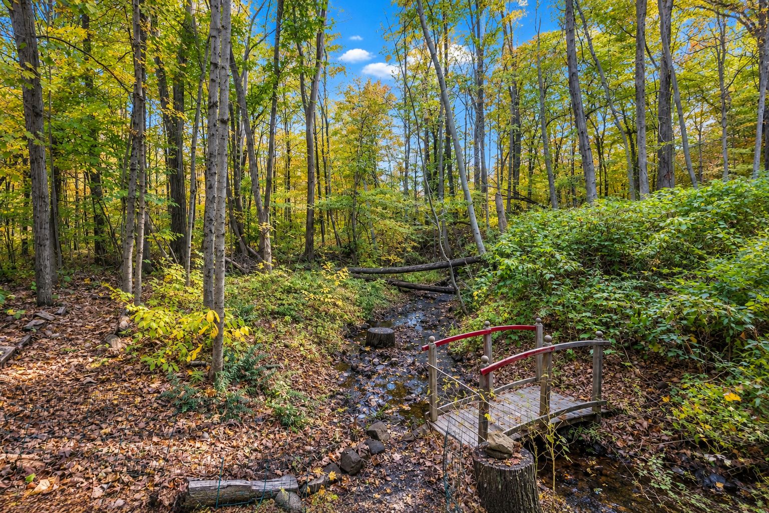Wooded brook with a small wooden footbridge with red rails