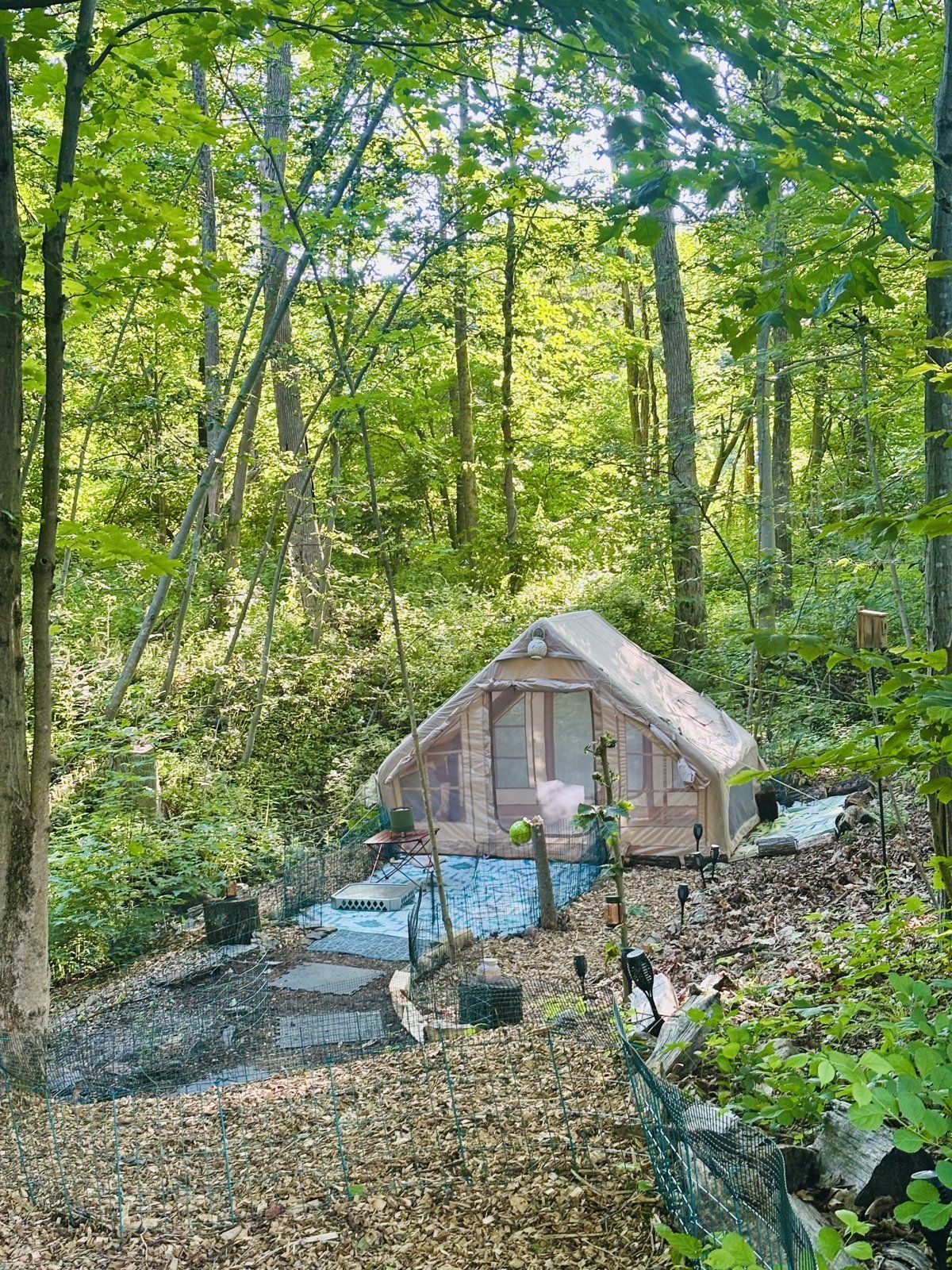 A small retreat structure tucked into the woods